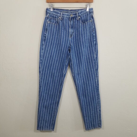 American Eagle Mom Jean Striped Blue Jeans Size 4 - Picture 1 of 7